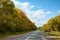 Sunny autumn day and forest road. Colorful leaves of trees in the autumn forest, colors of leaf-fall. Autumnal forest landscape