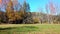 Sunny autumn day with a green lawn trees with colorful fall leaves in front a tree covered mountain