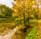 Sunny autumn day in a neglected Park on the banks of the Murzink