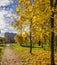 Sunny autumn day in a neglected Park on the banks of the Murzink