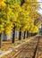 Sunny autumn near a railroad