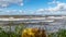 Sunny autumn seascape, waves crashing against the shore, foreground autumn leaves and grass background