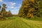 sunny autumnal meadow and yellow forest on its edges