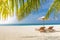 Sunny beach banner getaway couple destination scenic, honeymoon wallpaper. Palm tree idyllic sky sea sand