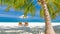 Sunny beach getaway couple destination scenic, honeymoon panoramic wallpaper. Palm tree idyllic sky sea sand