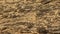 Sunny beige sandstone rock texture background with shadows