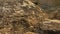 Sunny beige textured sandstone rocks with shadows, selective focus