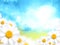 Sunny blue background with daisy flowers