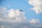 Sunny bright blue sky background with white clouds in summer. Paragliding extreme sport in the rural mountain area. Lonely