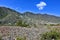 Sunny bright mountain landscape of Altai, Russia