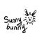Sunny bunny inscription and drawing sun with hare