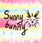 Sunny bunny inscription and drawing sun with hare face and ears