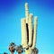 Sunny cactus in the desert