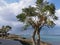 Sunny coast of the Mediterranean Sea with trees and stones, dramatic sky and rain above the sea, boats in the sea and the largest