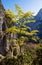 Sunny colorful autumn alpine scene. Peaceful rocky mountain view from hiking path near Almsee lake, Upper Austria