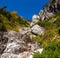 Sunny colorful autumn alpine scene. Peaceful rocky mountain view from hiking path near Almsee lake, Upper Austria