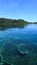 Sunny day above the surface of coral reef of raja ampat, transparent water, algae and corals