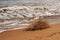 Sunny day on the beach in La Marina, Alicante