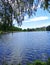 Sunny day. Belarusian forest. Lake.. Summer day.