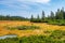 Sunny day at Cerna Hora Peat Bog