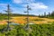 Sunny day at Cerna Hora Peat Bog