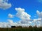 a sunny day with corn fields and beauty background clouds