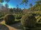 Sunny day in formal garden with topiary plants, smooth lines, geometric shape and tracks in Lisbon