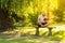 Sunny day - handsome bearded man sitting on a bench in lotus pose - padmasana in a park
