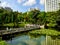 Sunny day & lake view in a university city