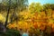 Sunny day in outdoor park with autumn trees reflection