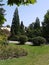 Sunny day in a park with green clipped bushes and beautiful spruce trees