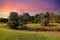 A sunny day in the park with lush green and autumn colored trees, vast green grass and a running river with blue sky