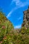 Sunny day at river stream and palm tree forest, Preveli, Crete, Greece