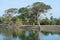 A sunny day on the shore of the ancient artificial reservoir Tissa Weva. Anuradhapura, Sri Lanka