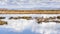 Sunny day on the shoreline of San Francisco Bay; white cumulus clouds reflected on the shallow water;  a group of shorebirds