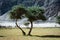 Sunny day view at Nubra Valley desert