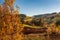 Sunny day in village Jimramovske Paseky autumn forest, fields and meadow in bright yellow and green. Afternoon sunbeams on meadow