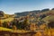 Sunny day in village Jimramovske Paseky autumn forest, fields and meadow in bright yellow and green. Afternoon sunbeams on meadow