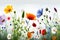 Sunny Days and Flower-filled Fields: Summer\\\'s Beauty Captured - Generative AI