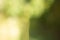 Sunny defocused green nature background with abstract bokeh effect