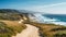 Sunny dirt path leading to the beautiful ocean