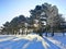 Sunny early winter sunrise sunset in Toronto city Canada. Sunbeams rays behind trees in park. Cold seasonal morning with snow,