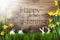 Sunny Easter Decoration, Gras, Text Happy Gardening