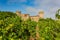 Sunny exterior view of the Castello di Amorosa winery