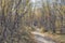 Sunny fall autumn view of Kungsleden Hiking path in Abisko National Park Kiruna Municipality Lapland Sweden