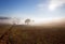 Sunny and foggy countryside landscape