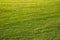 Sunny football grass field background