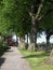 Sunny footpath along big trees in Rees, Germany