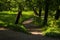 Sunny footpath in fresh green park or forest in sunny summer day. Summer park landscape. Beautiful serenity summer weekend.