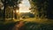 Sunny Forest Path At Dusk: Photorealistic 35mm Landscape